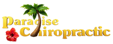 Tropical chiropractic clinic logo with palm tree graphic