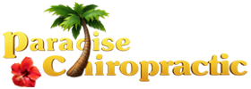 Paradise Chiropractic logo with palm tree and red flower